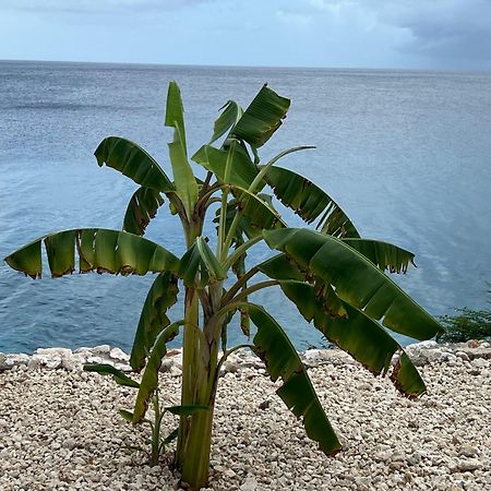 Lagun Sunset Resort All Natural Clothing Optional Eksteriør bilde
